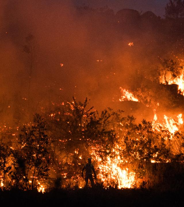 Waldbrand in Spanien mit brennenden Bäumen