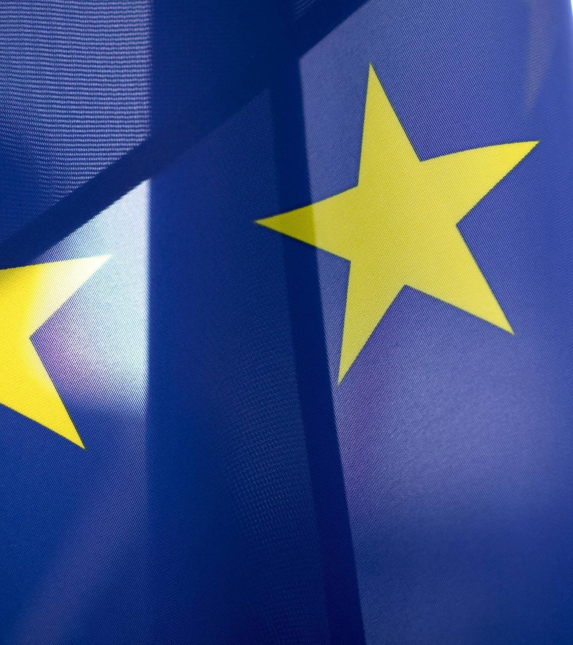  Soldat vor Europafahne mit gelben Stern beim Appell waehrend der Zeremonie mit militaerischen Ehren zum Staatsbesuch vom Ministerpraesidenten der Republik Bulgarien im Bundeskanzleramt in Berlin.