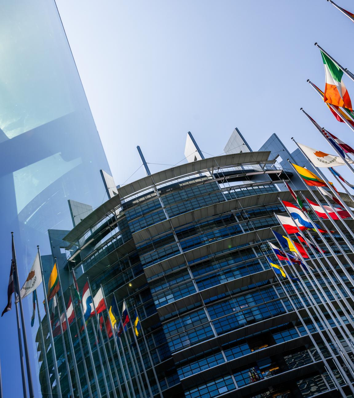 Die Flaggen der Europäischen Union und einiger ihrer Mitgliedsstaaten wehen vor dem Europäischen Parlament. 