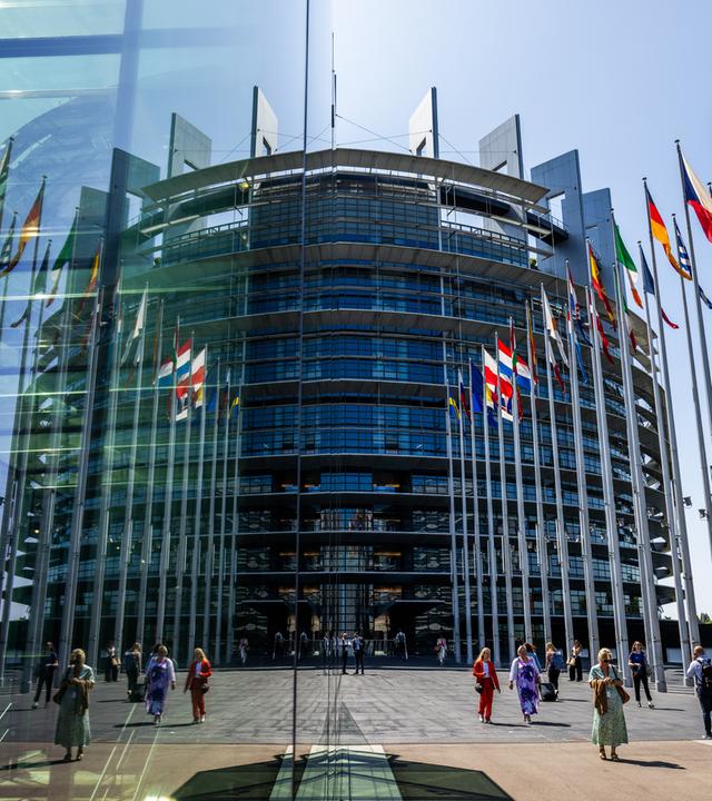 Die Flaggen der Europäischen Union und ihrer Mitgliedsstaaten wehen vor dem Europäischen Parlament am 17.06.2025 in Straßburg, Frankreich.