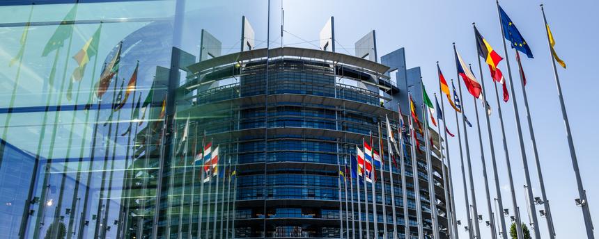 Die Flaggen der Europäischen Union und ihrer Mitgliedsstaaten wehen vor dem Europäischen Parlament am 17.06.2025 in Straßburg, Frankreich.