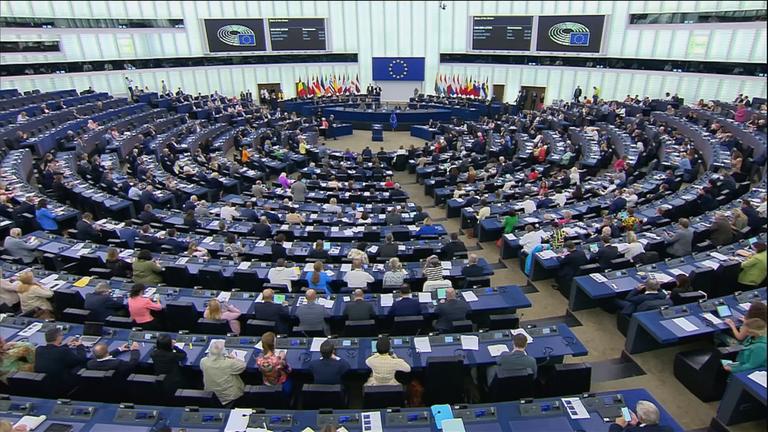 Europawahl-Gewinner: BSW und AfD