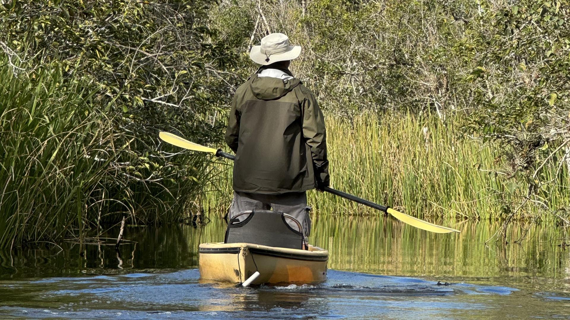 Chris Thorne führt durch die Everglades