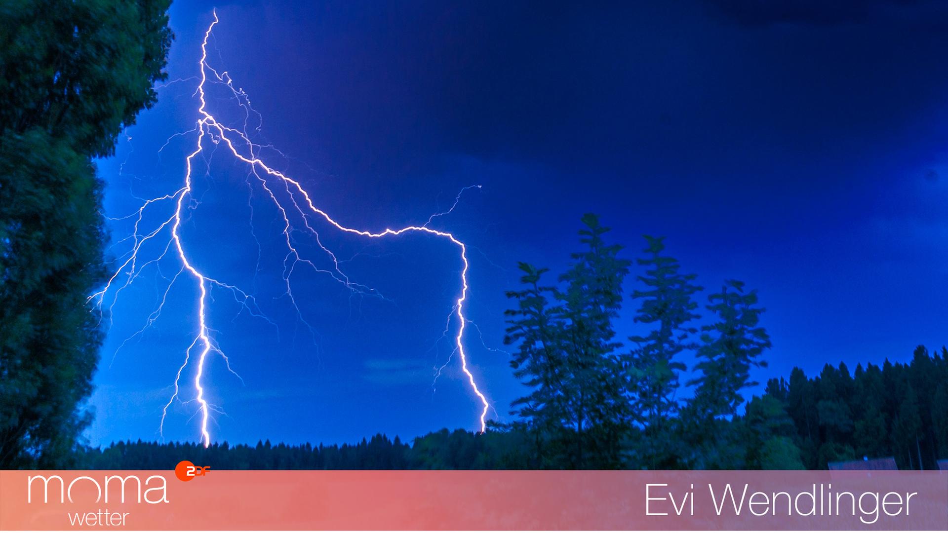 Gewinnerfoto vom 1. Juli 2022