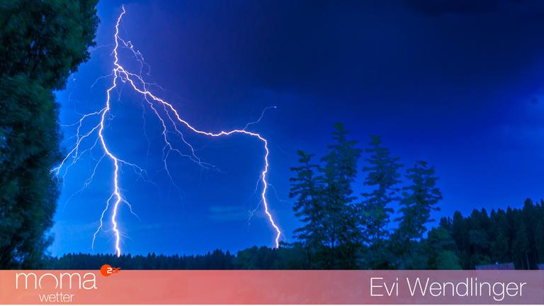 Gewinnerfoto vom 1. Juli 2022