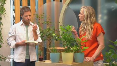 Anja Koenzen und Florian Weiss probieren exotische Pflanzen