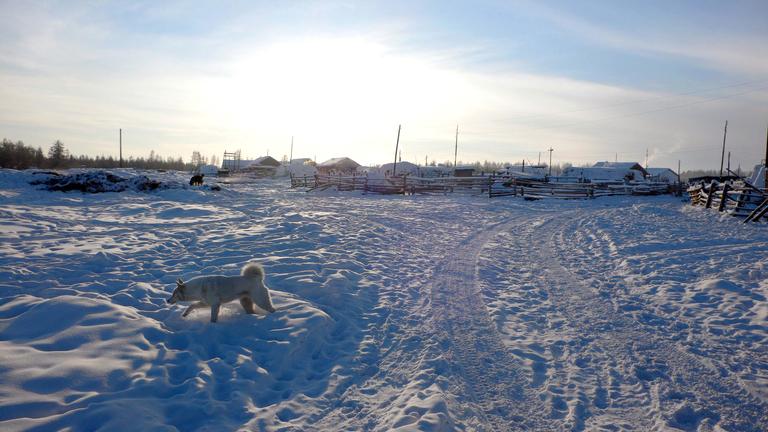 Oimjakon hält mit minus 71,1 Grad Celsius den Weltrekord