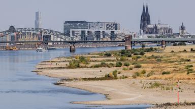 Der ausgetrocknete Kölner Rhein, zurückgegangenes Wasser und trockenes Land