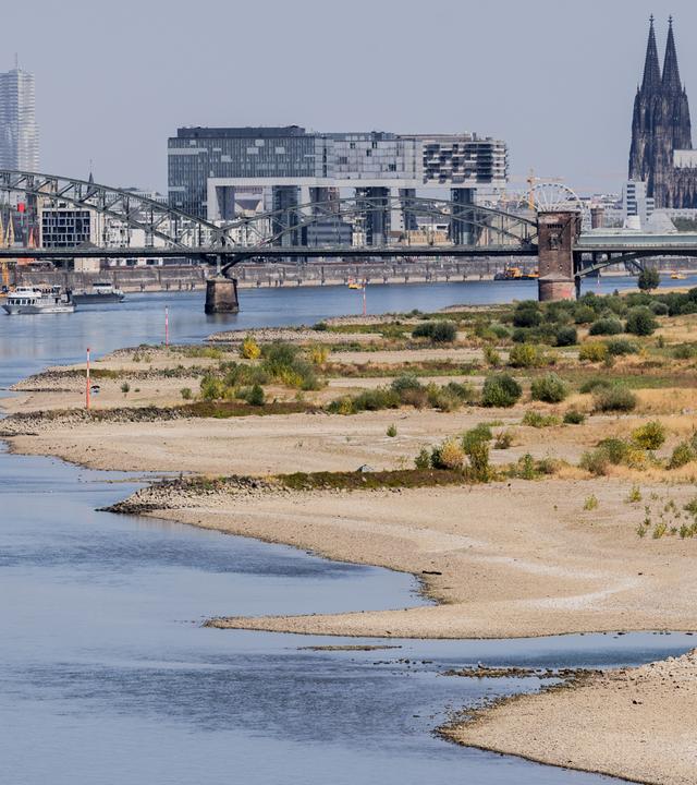 Der ausgetrocknete Kölner Rhein, zurückgegangenes Wasser und trockenes Land