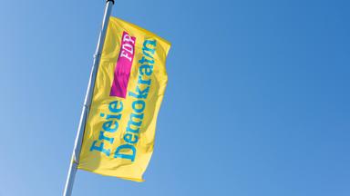 Fahne der FDP