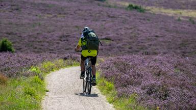Radfahrer in der Natur.