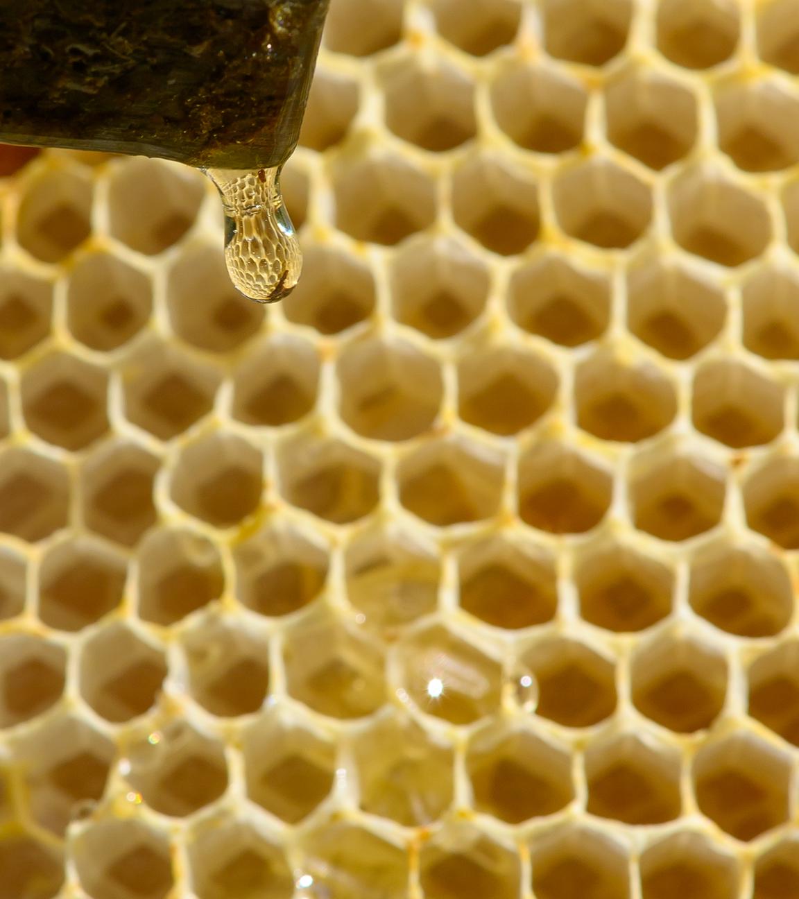 Honig-Tropfenvor Bienenwaben im Hintergrund.