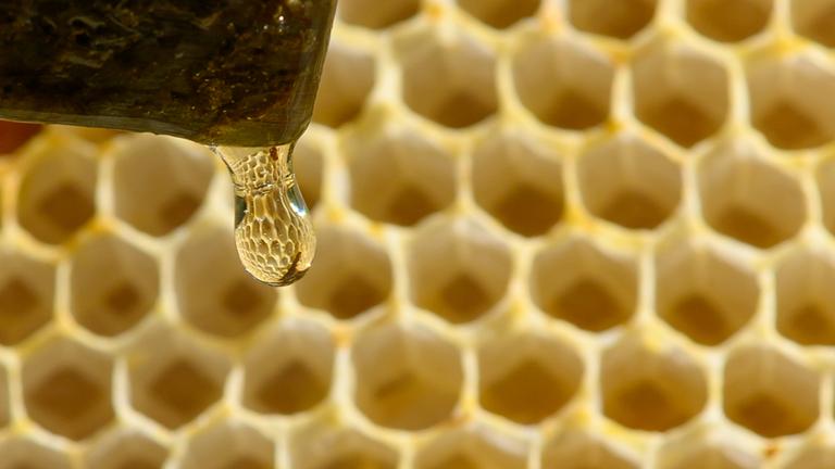 Honig-Tropfenvor Bienenwaben im Hintergrund.