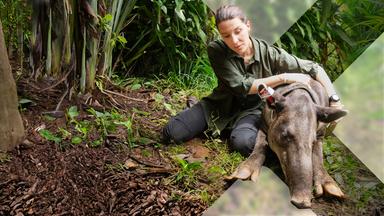 Costa Rica - Das pure Leben