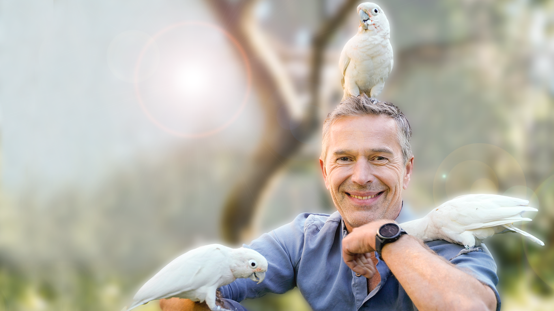Dirk Steffens mit drei weißen Kakadus auf Schultern und Kopf.