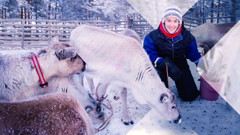 Hannah Emde inmitten von Rentieren