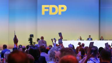 Mit Kubicki als Parteichef: FDP gewinnt neue Parte