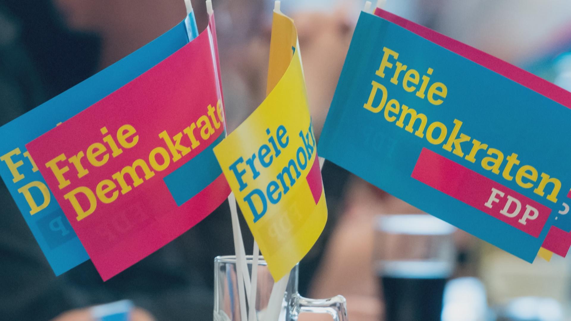 FDP Fähnchen