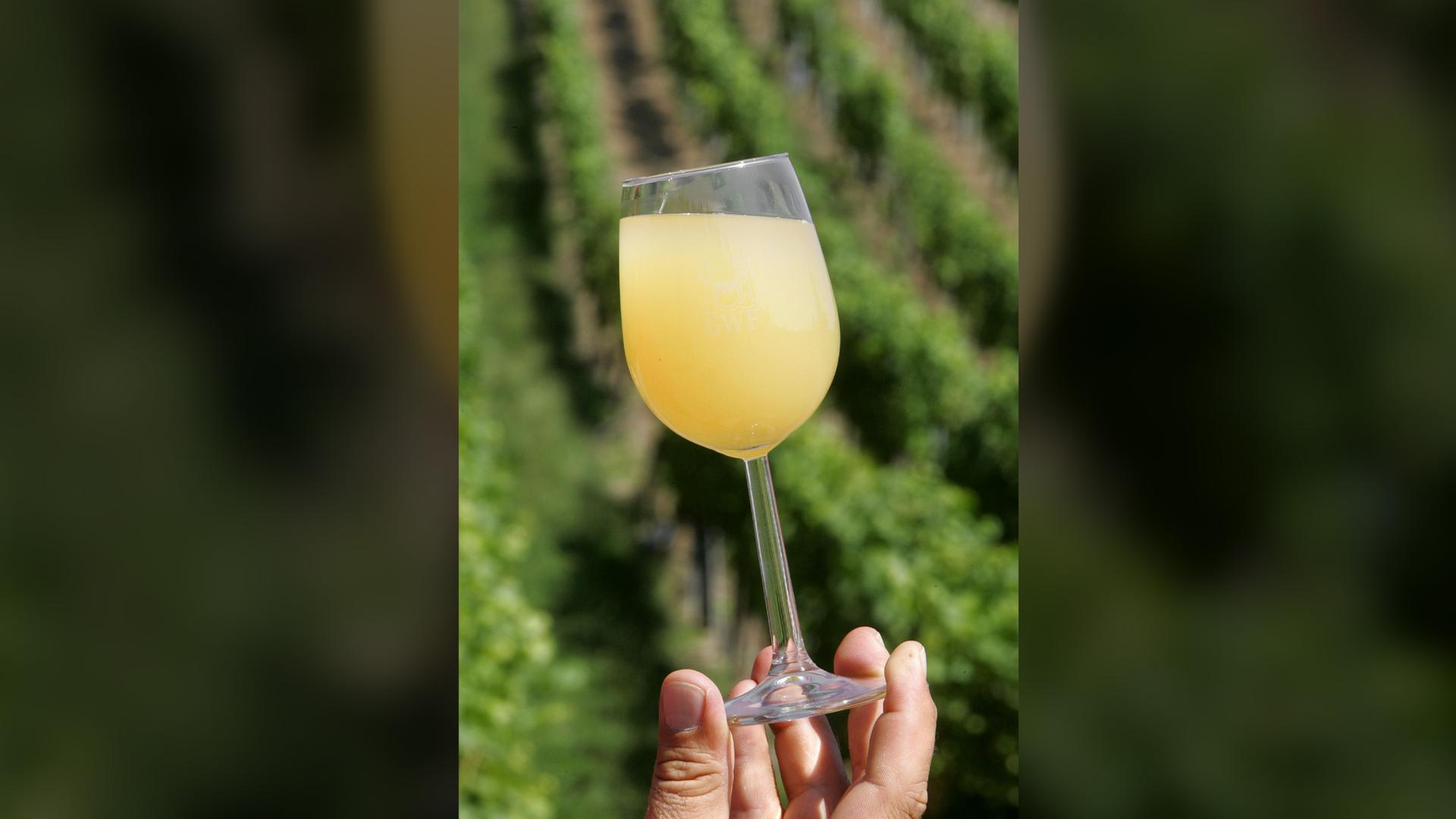 Ein Mann hält vor einem Weinberg ein Glas Federweisser in der Hand. (Archiv)