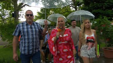 Impressionen aus dem Fernsehgarten am 27.07.2025.