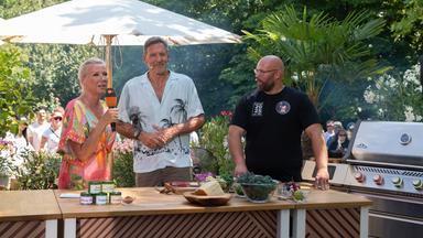 Der Fernsehgarten feiert seinen 40. Geburtstag.