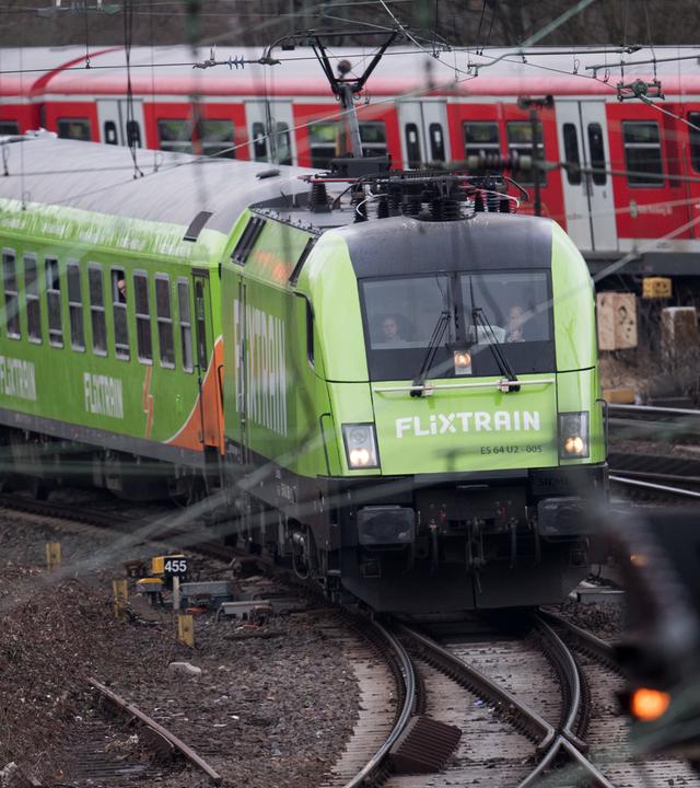 Hamburg: Der "Flixtrain" fährt in den Hamburger Hauptbahnhof ein.