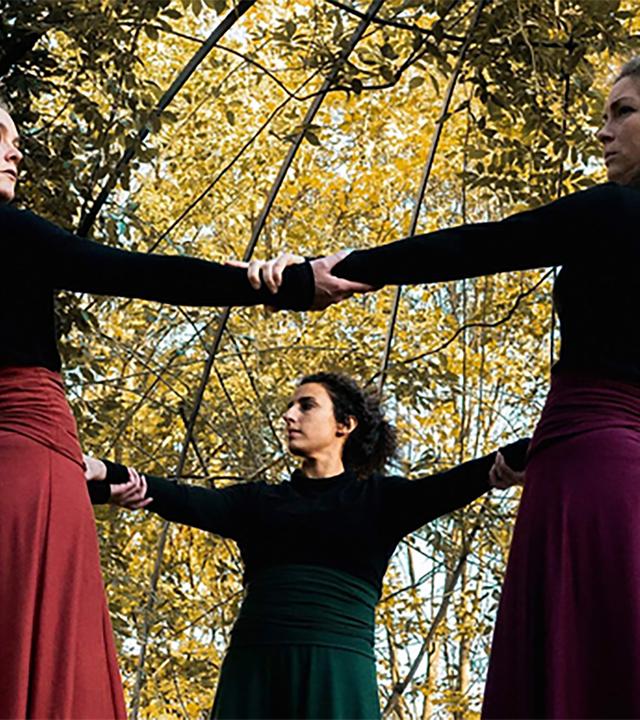 Drei Frauen halten sich im Wald an den Händen im Kreis.