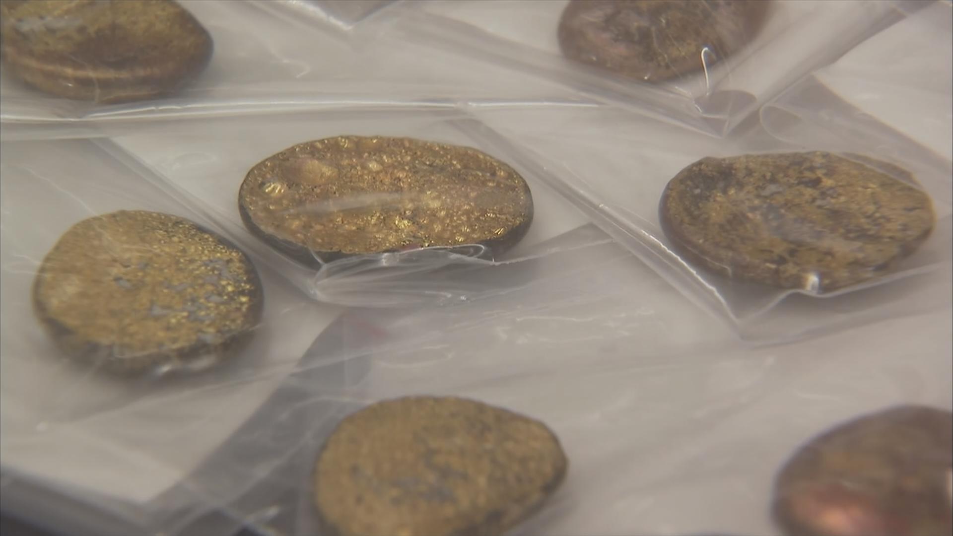 Goldklumpen-Fund der gestohlenen Beute aus dem Keltenmuseum
