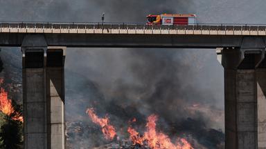 Mindestens zwölf Tote bei Waldbrand in Andalusien