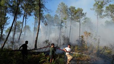 Eine Gruppe hält einen Feuerwehrschlauch in der Hand und versucht ein Feuer in der Nähe von Lacanau zu löschen, während außerhalb von Bordeaux Waldbrände wüten. 