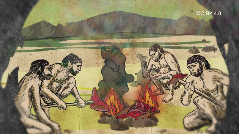 Feuer revolutioniert Leben CC