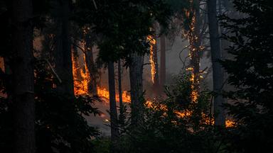 Blick auf den Waldbrand nahe der Charca de la Nieta in Piedralaves, Spanien.