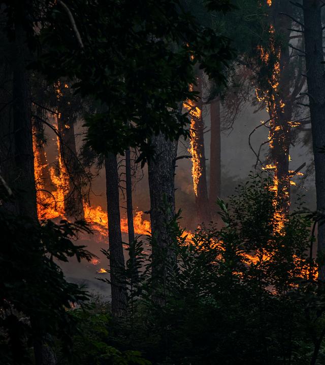 Blick auf den Waldbrand nahe der Charca de la Nieta in Piedralaves, Spanien.