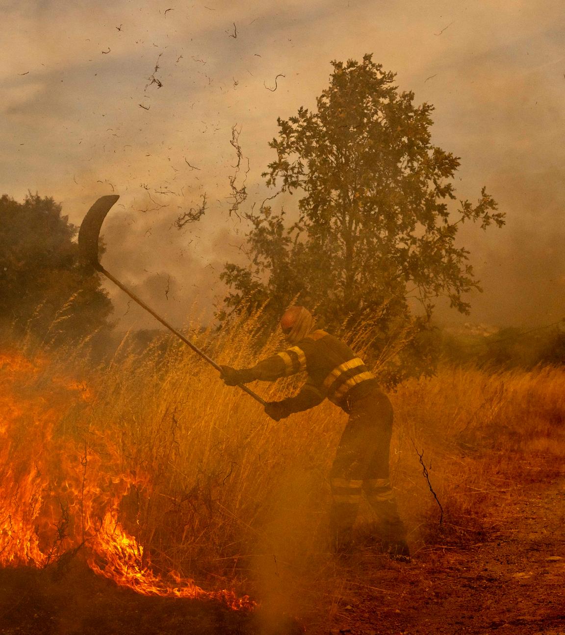 Forest fire in Ourense