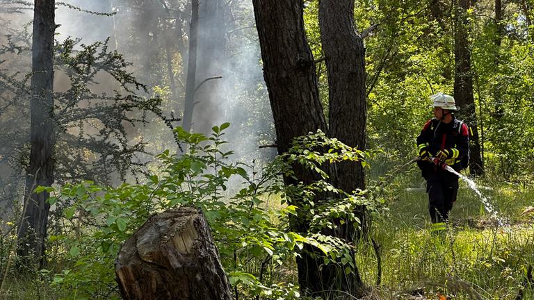 Feuerwehrübung im Wald, Waldbrandbekämpfung