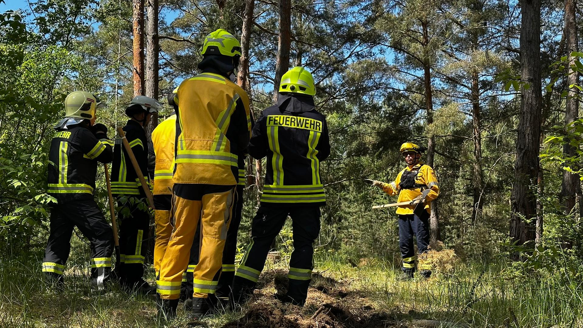 Feuerwehrübung im Wald, Waldbrandbekämpfung