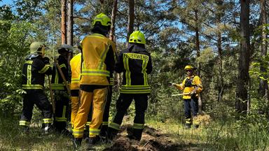 Feuerwehrübung im Wald, Waldbrandbekämpfung