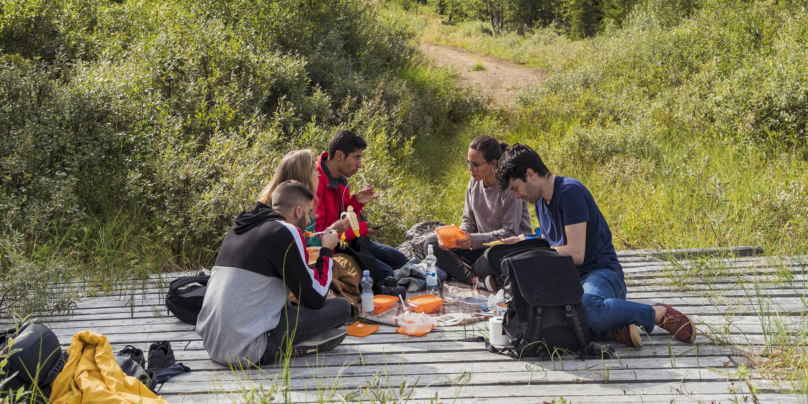 Finnen beim Picknick