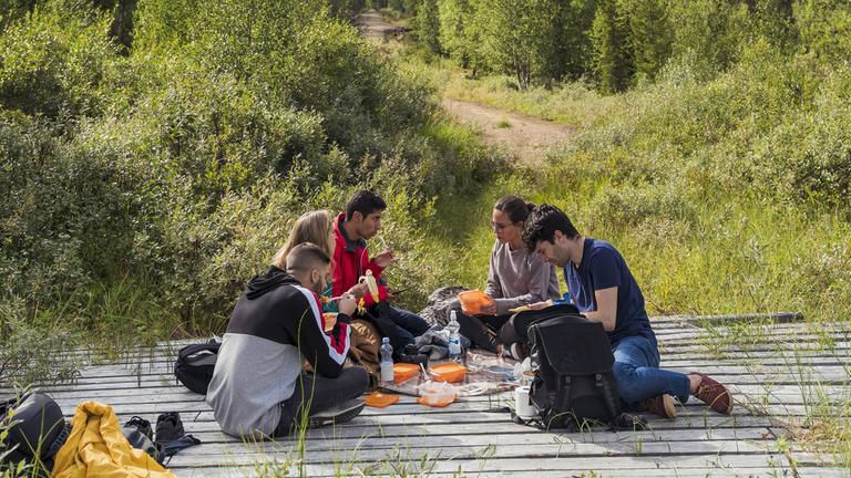 Finnen beim Picknick