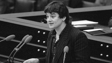 Bundestag - Bonn 1984: Joschka Fischer