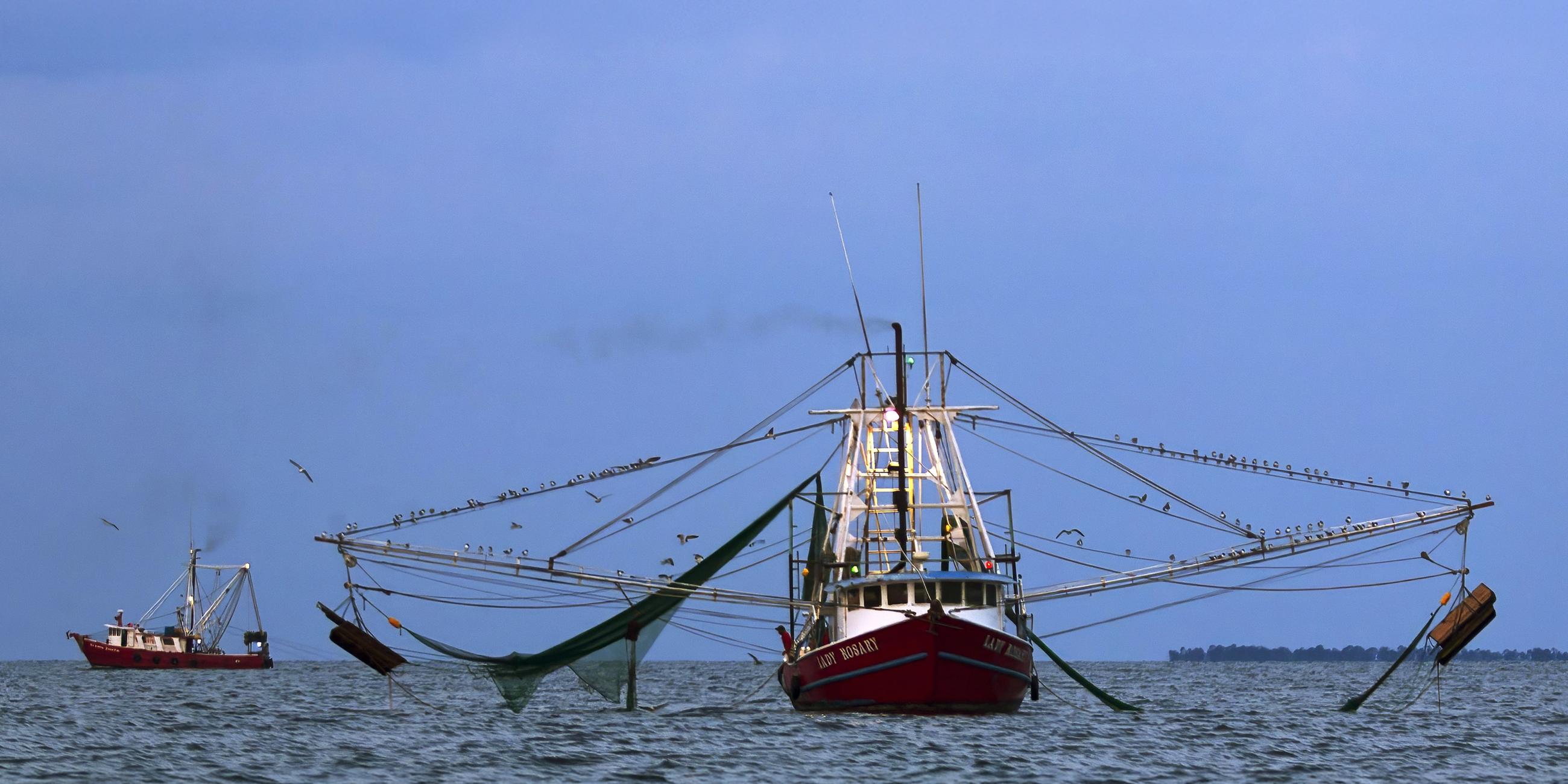 Auf dem Meer liegt ein Fischerboot mit ausgefahrenen Netzen.