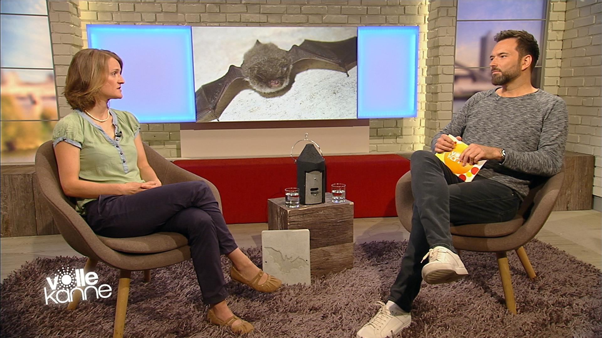 Tierökologin Dr. Friederike Scholz und Ingo Nommsen über Fledermäuse