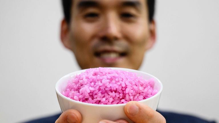 Professor Hong Jin-kee, wie er mit einer Schüssel mit rosa "fleischigem Reis" an der Yonsei-Universität in Seoul posiert