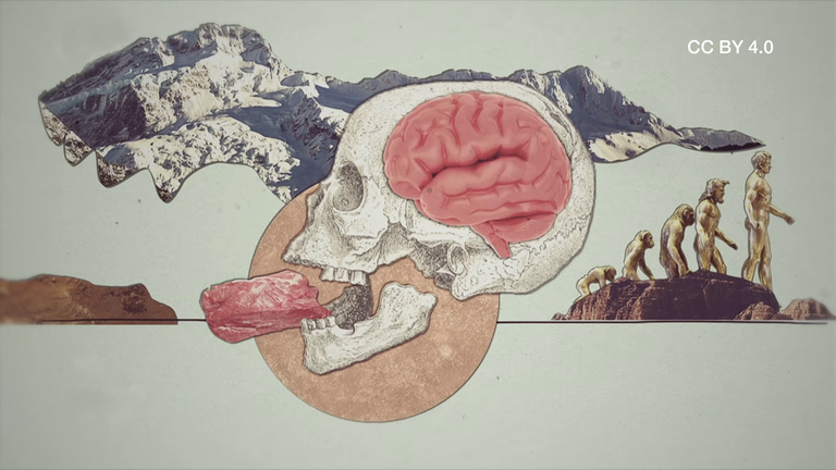 Fleischhunger Mensch CC