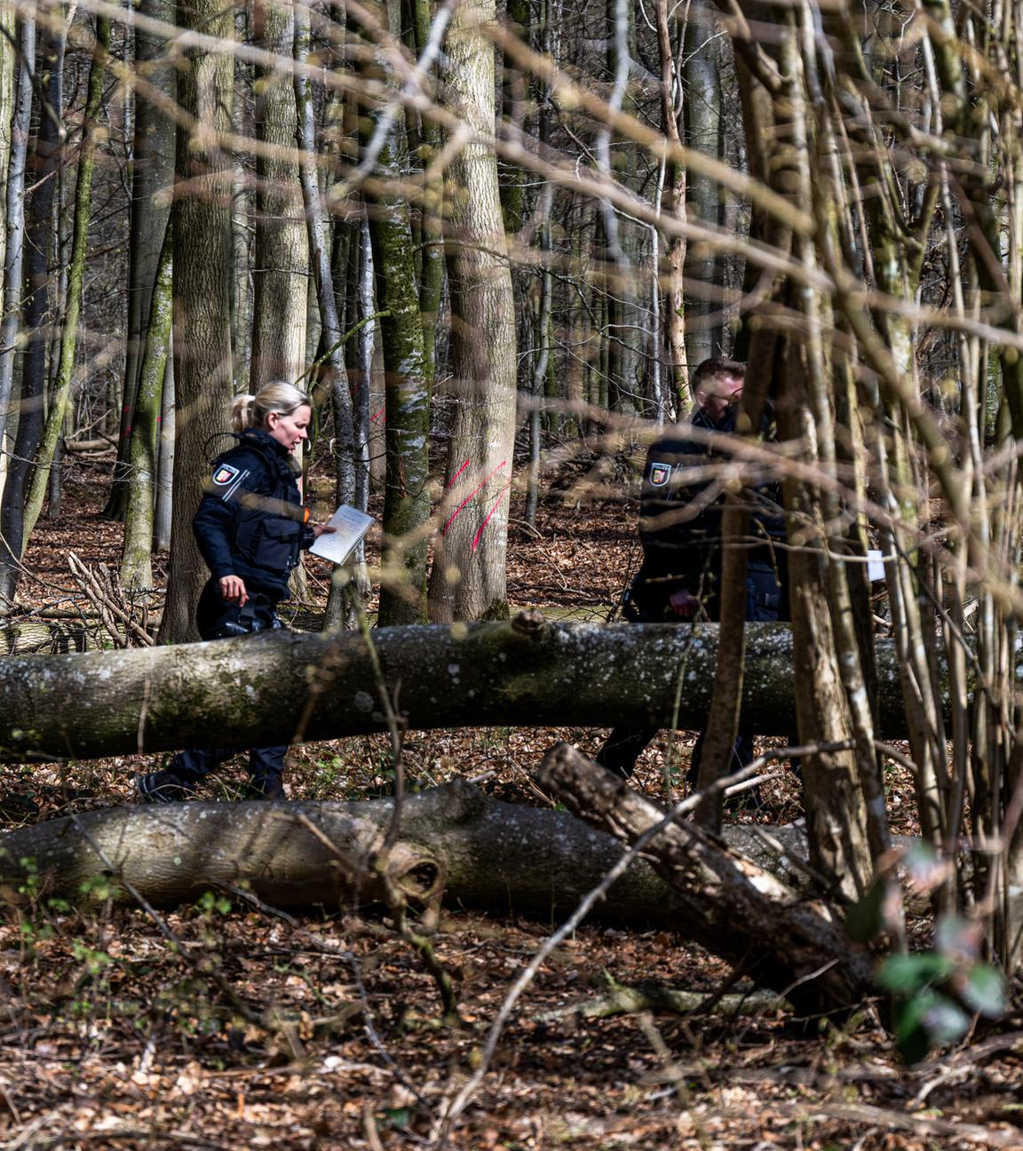 Einsatzkräfte der Polizei stehen in einem Waldstück südöstlich von Flensburg neben einem umgestürzten Baum.