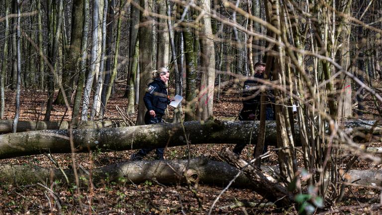 Einsatzkräfte der Polizei stehen in einem Waldstück südöstlich von Flensburg neben einem umgestürzten Baum.