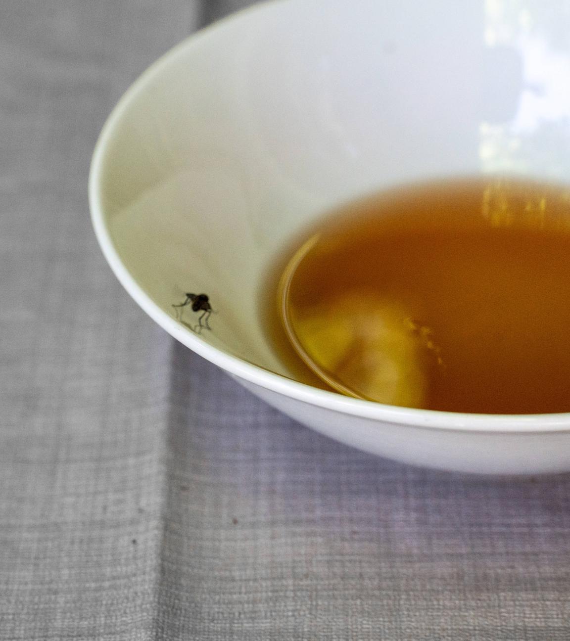 Eine Schüssel mit Essig als Lockfalle steht auf einem Tisch, drumherum sind Fliegen.