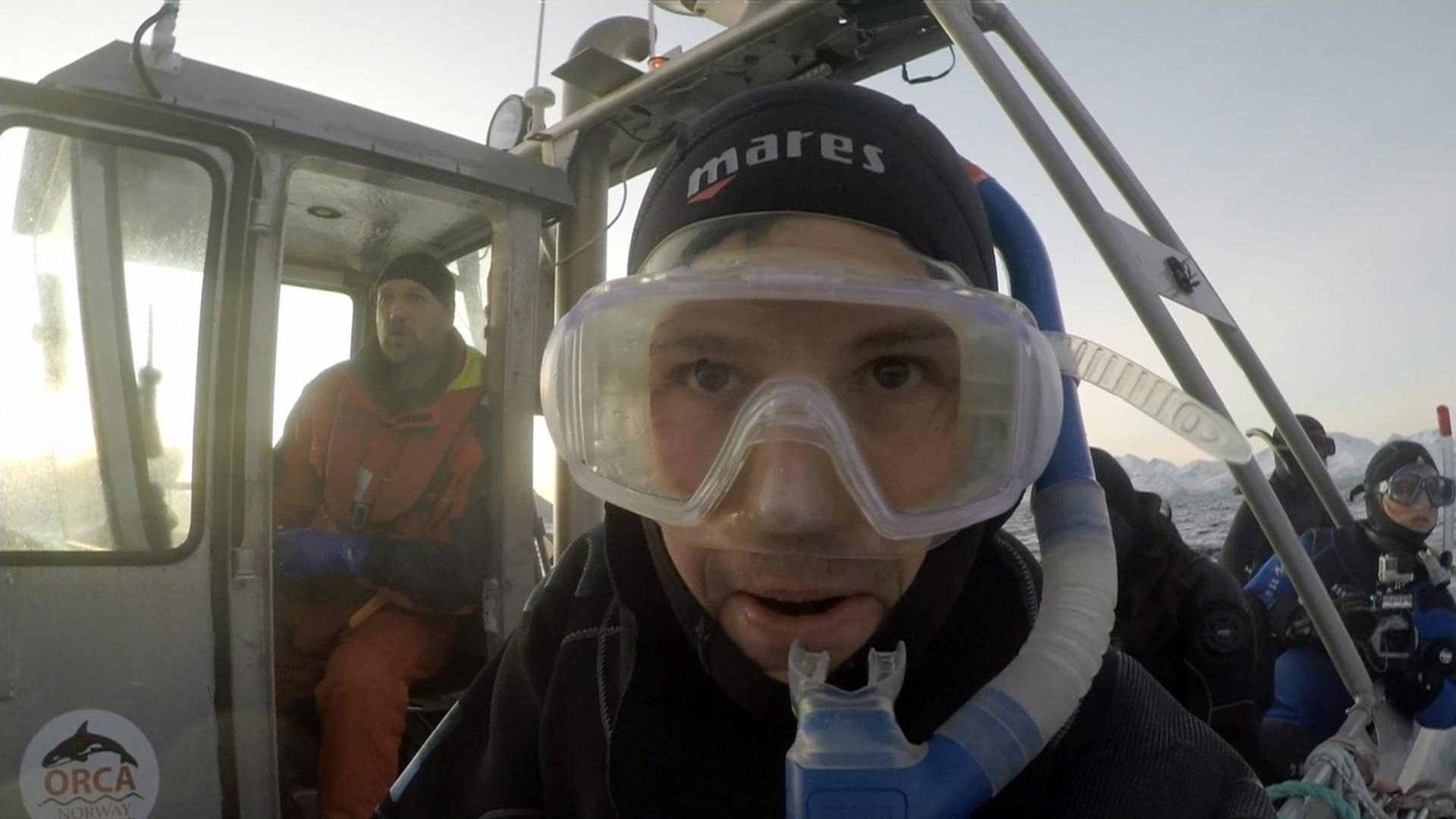 Reporter Florian Weiss will in der Arktis mit Orcas tauchen.