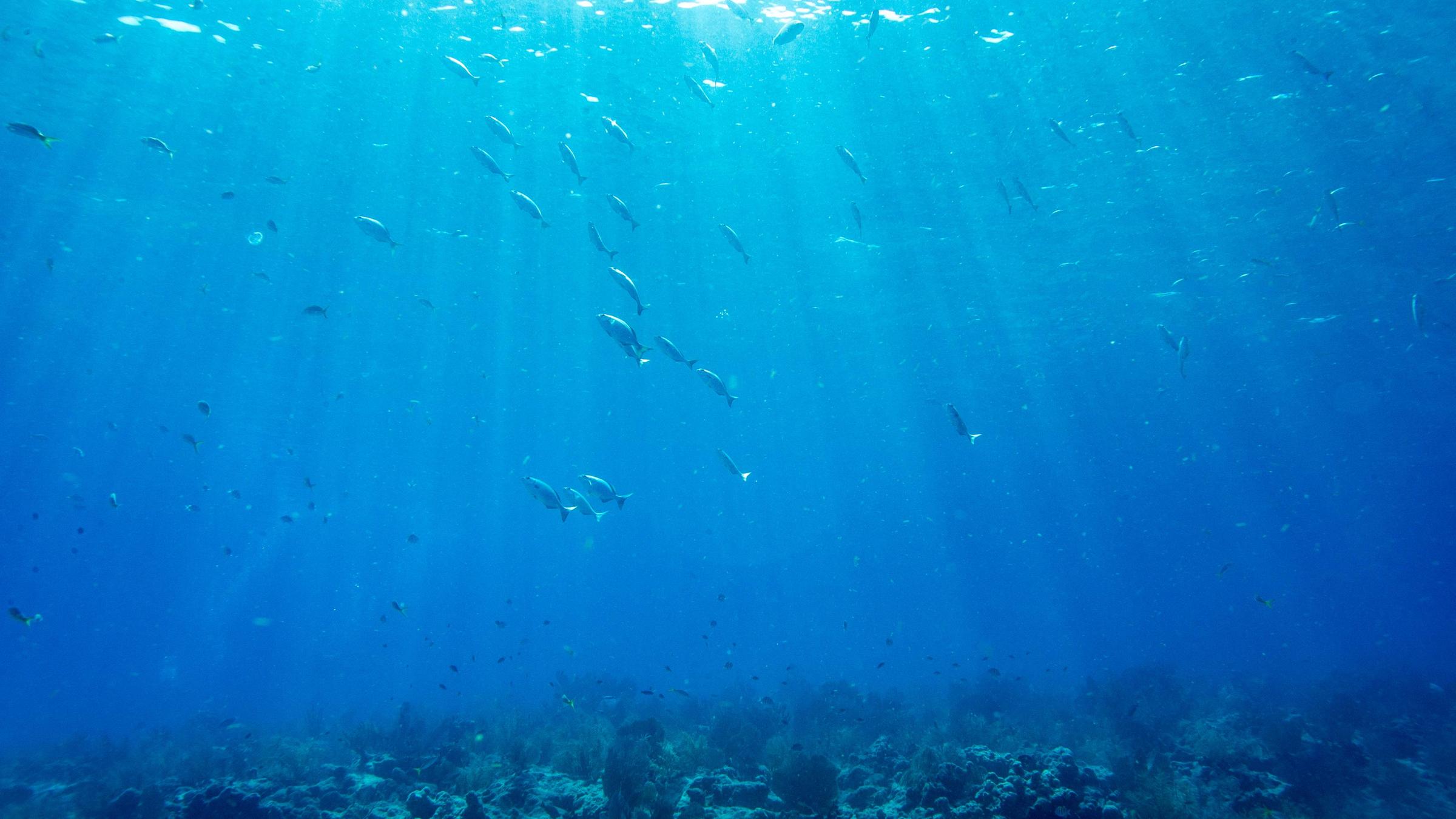 Sonnenstrahlen im Meer vor Miami, Florida in den USA.