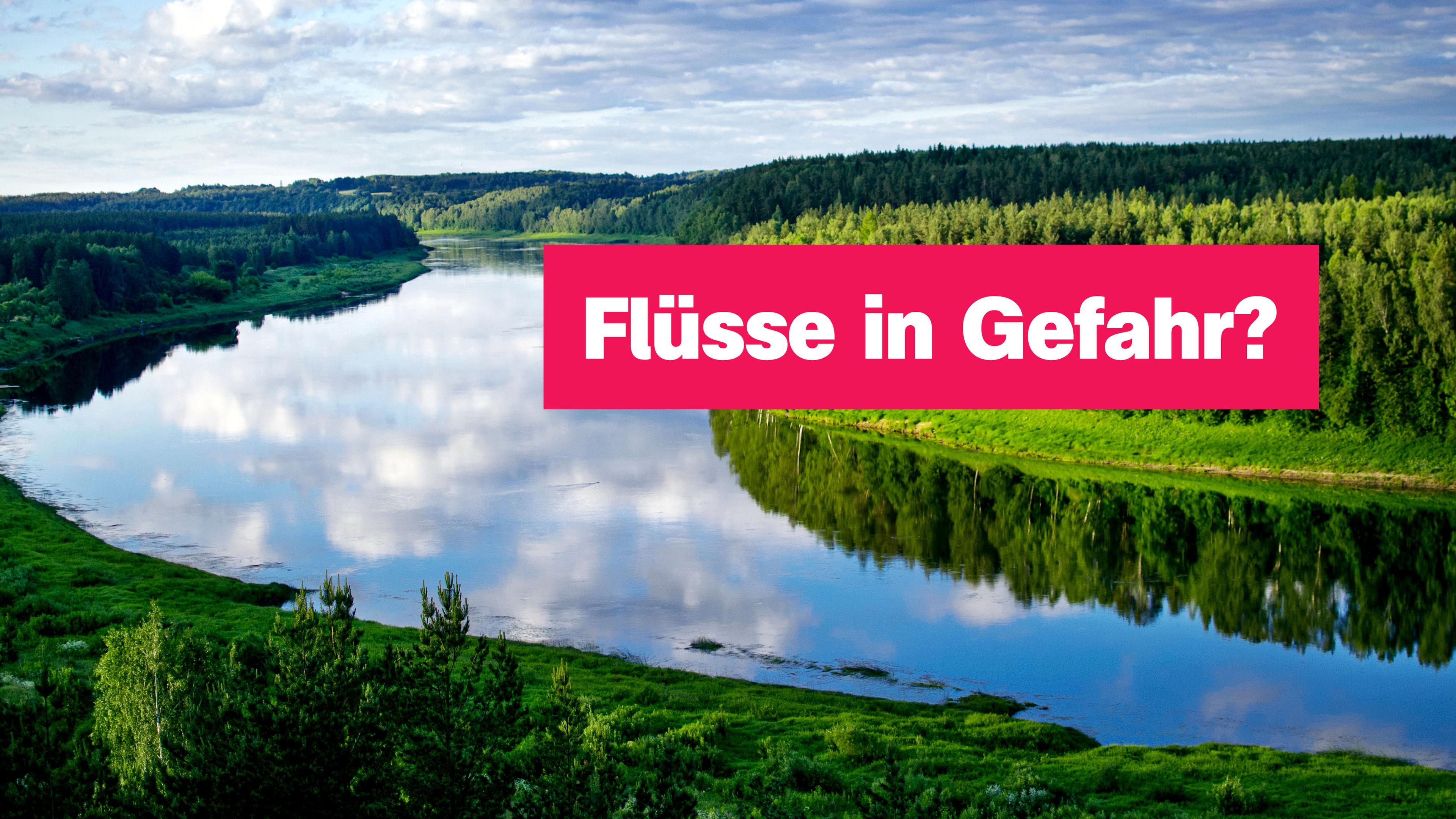 Ein breiter Fluss in grüner Landschaft. Rechts der Text: "Flüsse in Gefahr?"
